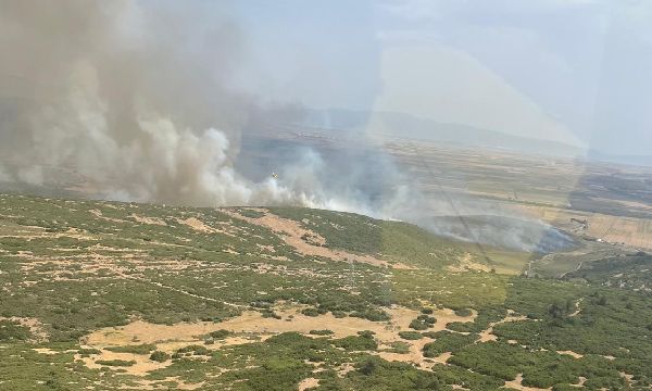 İzmir'de orman yangını